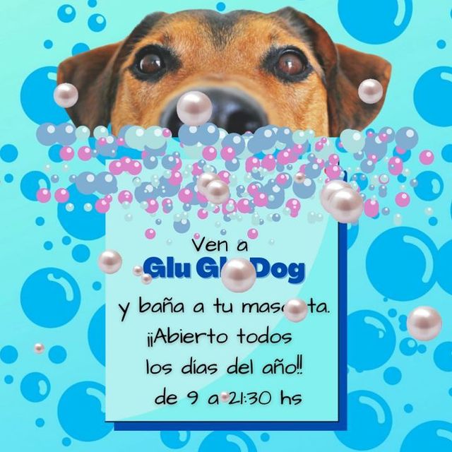 GluGluDog 8